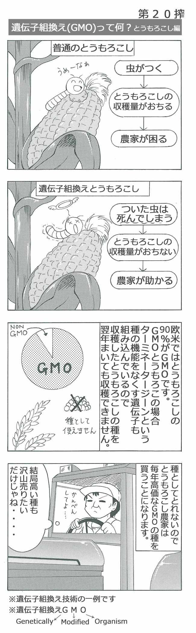 遺伝子組換え(GMO)って何？とうもろこし 